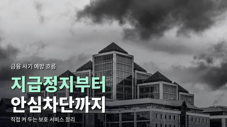 금융 사기 예방 장치는 어떻게 늘어 왔나 - 지연인출, 지급정지, 비대면 본인 확인, 안심차단 서비스