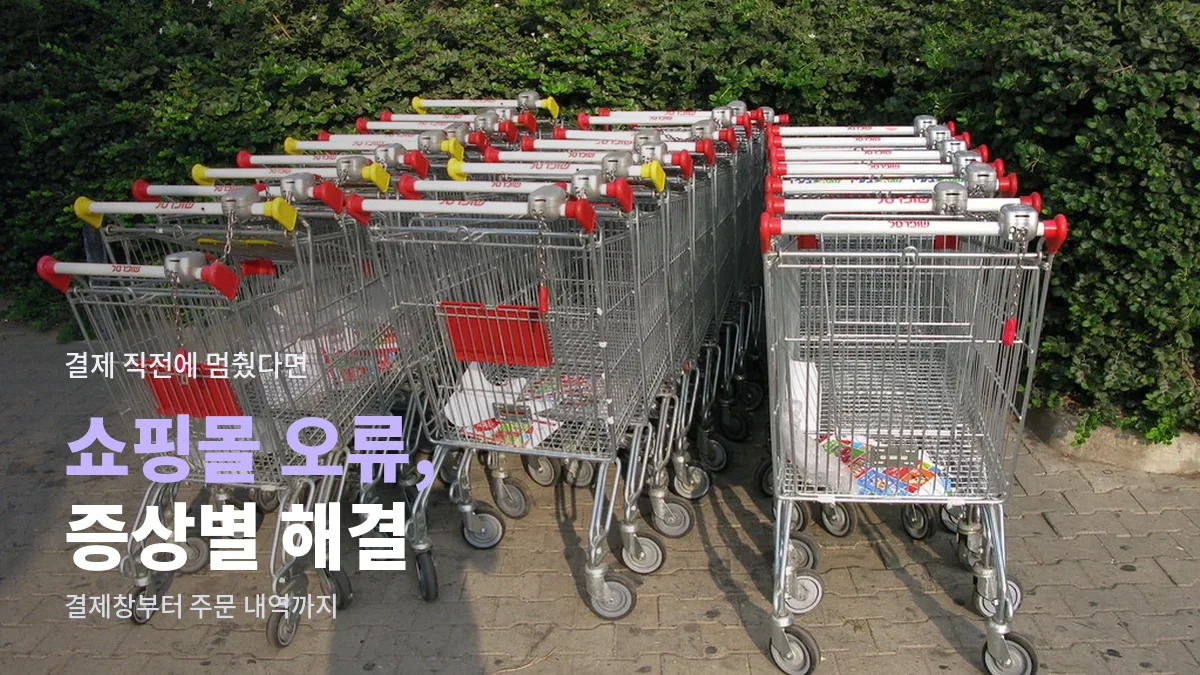 가게 앞에 줄지어 세워 둔 쇼핑 카트